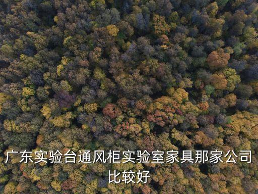 東莞試驗臺通風柜生產廠家，廣東實驗臺通風柜實驗室家具那家公司比較好