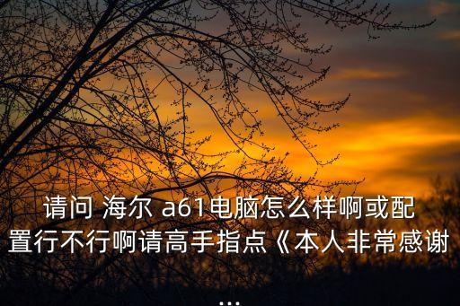 請問 海爾 a61電腦怎么樣啊或配置行不行啊請高手指點《本人非常感謝...