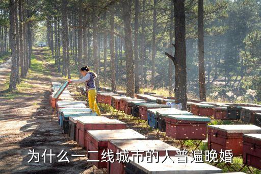 為什么一二線城市的人普遍晚婚