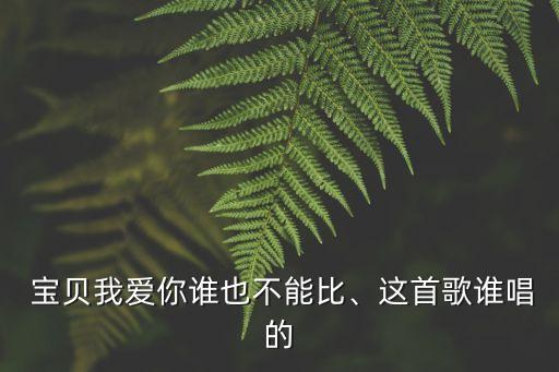  寶貝我愛你誰也不能比、這首歌誰唱的