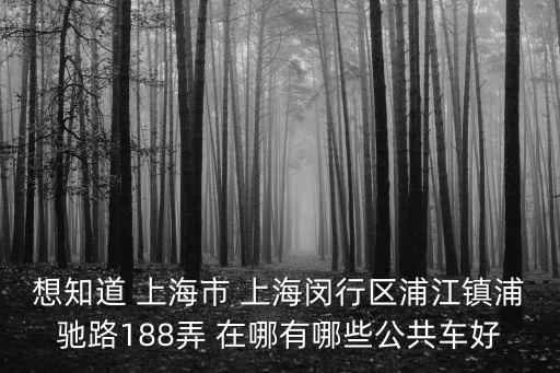 想知道 上海市 上海閔行區浦江鎮浦馳路188弄 在哪有哪些公共車好
