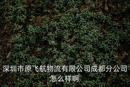 深圳市原飛航物流有限公司成都分公司怎么樣啊