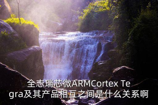 東莞全芯和深度工控是一家公司嗎，為什么華碩主板聲卡喜歡用少見(jiàn)的VIA芯片
