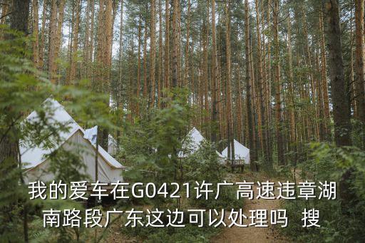 我的愛車在G0421許廣高速違章湖南路段廣東這邊可以處理嗎  搜