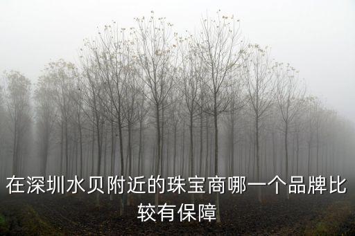 在深圳水貝附近的珠寶商哪一個品牌比較有保障