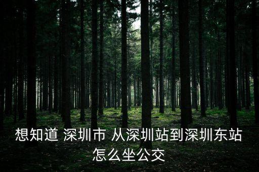 followme 深圳站，深圳西鄉(xiāng)到深圳站怎么走