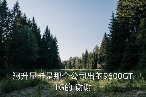 深圳翔升源電子，JIEHE ELECTRONICS COLTD是什么主板品牌