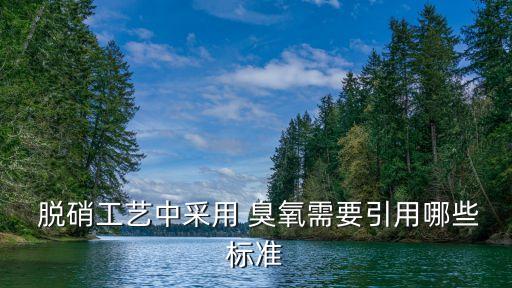  脫硝工藝中采用 臭氧需要引用哪些標準