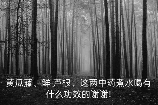 黃瓜藤、鮮 蘆根、這兩中藥煮水喝有什么功效的謝謝!