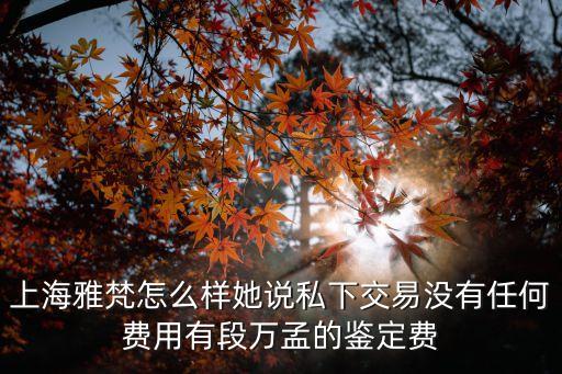 上海市雅園如何，上海雅鴿電動車的質量怎么樣