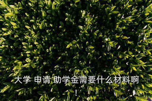 大學助學金申請
