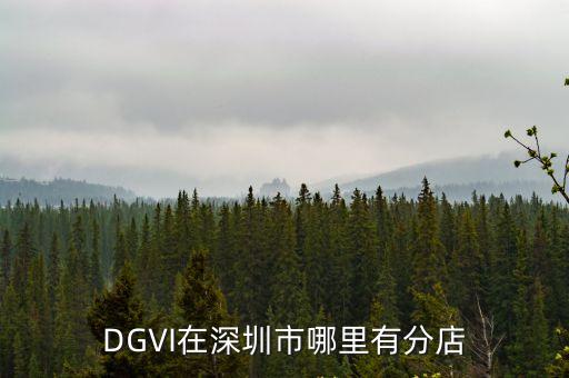 DGVI在深圳市哪里有分店