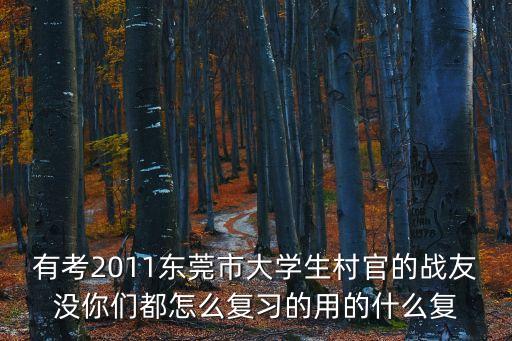 有考2011東莞市大學(xué)生村官的戰(zhàn)友沒你們都怎么復(fù)習(xí)的用的什么復(fù)