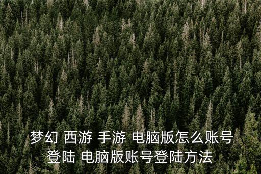  夢幻 西游 手游 電腦版怎么賬號登陸 電腦版賬號登陸方法