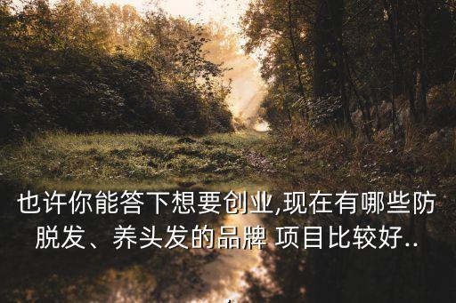 也許你能答下想要創(chuàng)業(yè),現(xiàn)在有哪些防脫發(fā)、養(yǎng)頭發(fā)的品牌 項目比較好...