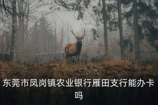 東莞市鳳崗鎮(zhèn)農(nóng)業(yè)銀行雁田支行能辦卡嗎