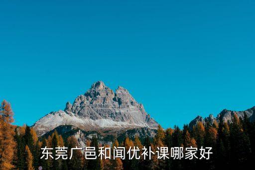 東莞市網上補課，東莞廣邑和聞優補課哪家好