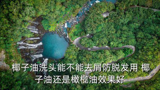  椰子油洗頭能不能去屑防脫發用 椰子油還是橄欖油效果好