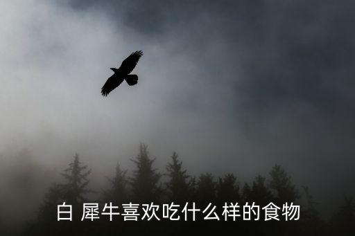 犀牛吃什么,非洲犀牛家族來了!