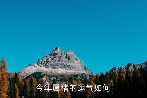 今年屬豬的運氣如何