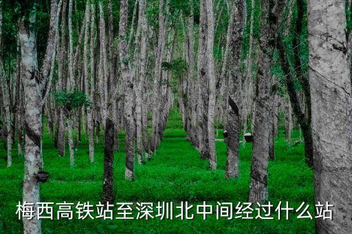 梅州到深圳經過站點，梅州到深圳的火車在深圳哪里下車下車后有地鐵么