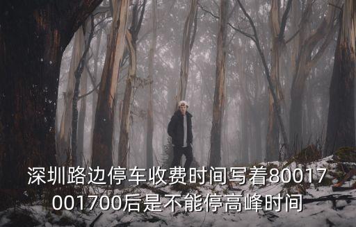 深圳路邊停車收費時間寫著80017001700后是不能停高峰時間
