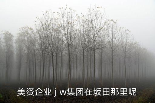 深圳坂田美資企業介紹，美資企業 j w集團在坂田那里呢