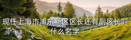 上海市副區長 東營，現任上海市浦東新區區長還有副區長叫什么名字