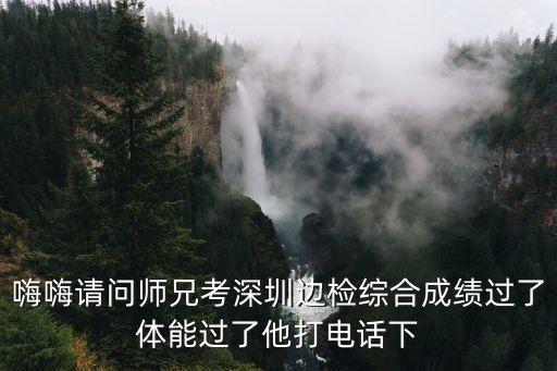 嗨嗨請問師兄考深圳邊檢綜合成績過了體能過了他打電話下