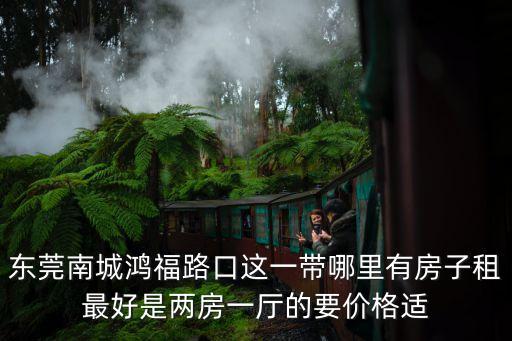 東莞鴻福路口小區房價，東莞南城鴻福路口周圍有哪些KTV價格都在多少