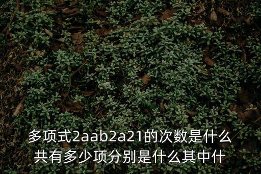 多項(xiàng)式2aab2a21的次數(shù)是什么共有多少項(xiàng)分別是什么其中什