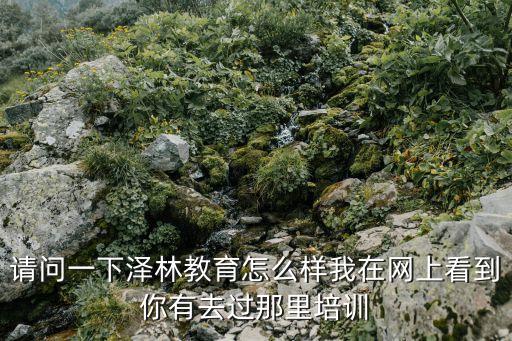 請問一下澤林教育怎么樣我在網上看到你有去過那里培訓