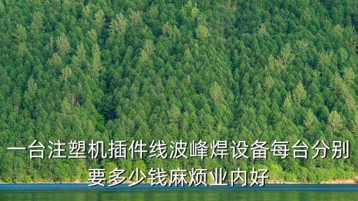 一臺注塑機插件線波峰焊設備每臺分別要多少錢麻煩業內好