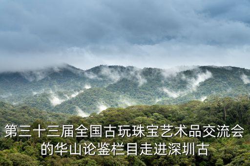 第三十三屆全國古玩珠寶藝術品交流會的華山論鑒欄目走進深圳古