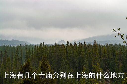 上海有幾個寺廟分別在上海的什么地方