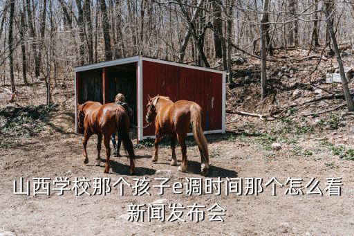 山西省教育考試院