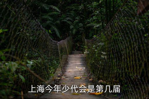 上海市少代會 選拔，上海今年少代會是第幾屆