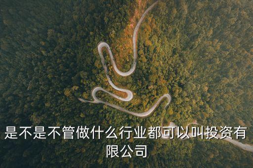 深圳博仕投資集團有限公司，是不是不管做什么行業都可以叫投資有限公司