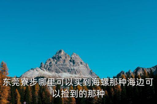 東莞寮步哪里可以買到海螺那種海邊可以撿到的那種
