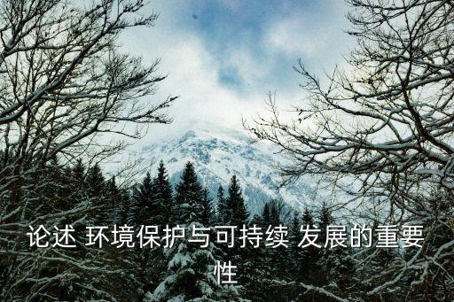 環境與發展,1992年聯合國世界環境與發展