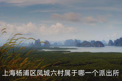 上海楊浦區(qū)鳳城六村屬于哪一個(gè)派出所