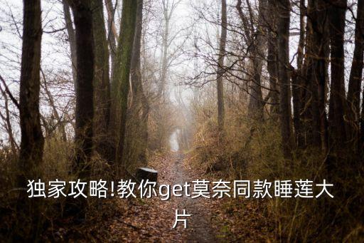 獨家攻略!教你get莫奈同款睡蓮大片