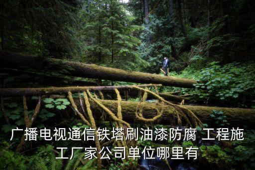 廣播電視通信鐵塔刷油漆防腐 工程施工廠家公司單位哪里有