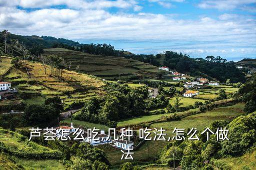  蘆薈怎么吃,幾種 吃法,怎么個做法