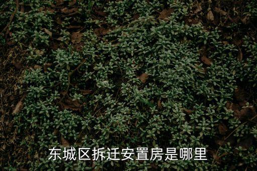 東城區(qū)拆遷安置房是哪里