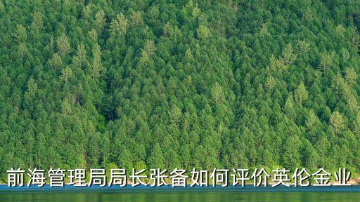前海管理局局長張備如何評價英倫金業