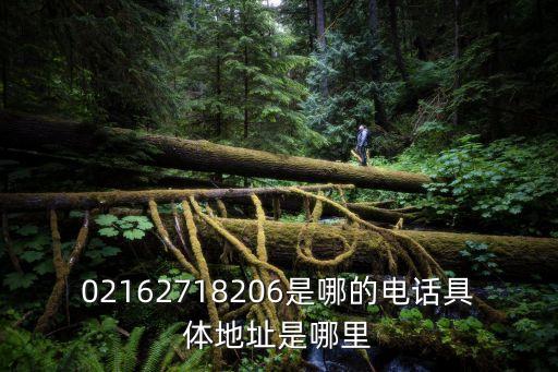 02162718206是哪的電話具體地址是哪里