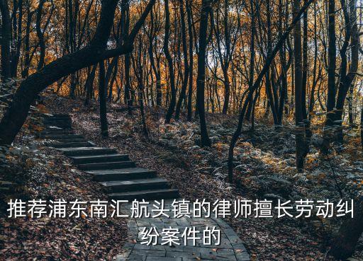 推薦浦東南匯航頭鎮的律師擅長勞動糾紛案件的