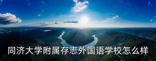 上海市同濟大學附屬存志學校奉賢，上海奉賢志誠教育學校名單