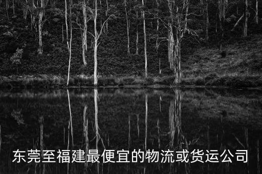 東莞至福建最便宜的物流或貨運公司